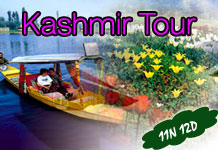 Delhi Agra Jaipur Kashmir Tour